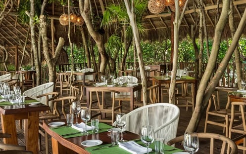 Natura - Day Club & Grill